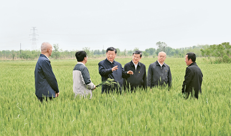 2023年5月11日至12日，中共中央總書記、國家主席、中央軍委主席習近平在河北考察，并主持召開深入推進京津冀協(xié)同發(fā)展座談會。這是11日上午，習近平在滄州市黃驊市舊城鎮(zhèn)仙莊片區(qū)旱堿地麥田考察時，同種植戶、農(nóng)技專家親切交流。 新華社記者 李學仁/攝
